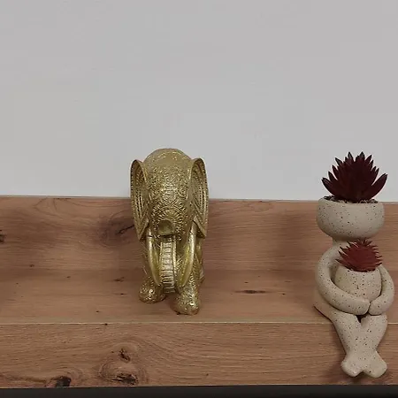 Casa de hóspedes Royal *